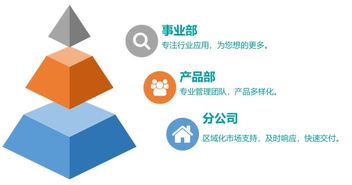 應(yīng)屆生公司簡介 技術(shù)服務(wù)團(tuán)隊(duì)