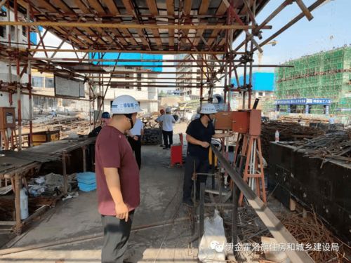 伊旗建設工程質量安全技術服務中心一周動態（7月12日-16日） 信息咨詢服務高效運行